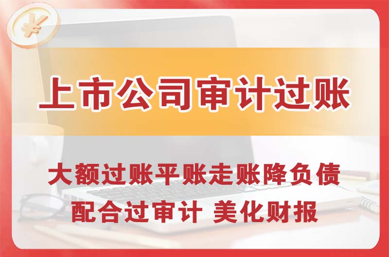 渭南上市公司审计过账